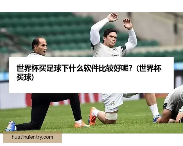 世界杯买球全攻略揭秘，让球迷轻松掌握投注技巧与策略